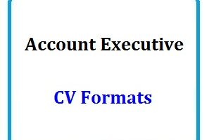Account Executive CV Formats
