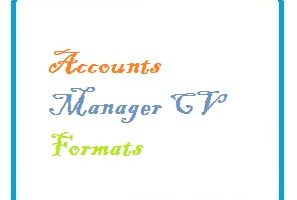 Accounts Manager CV Formats