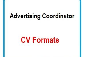 Advertising Coordinator CV Formats