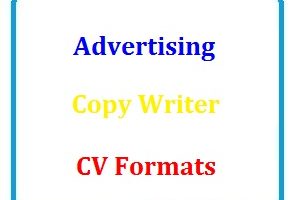 Advertising Copywriter CV Formats