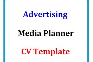Advertising Media Planner CV Formats