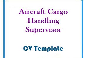 Aircraft Cargo Handling Supervisor CV Template