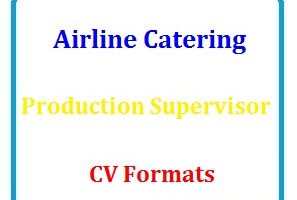Airline Catering Production Supervisor CV Formats