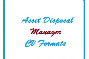 Asset Disposal Manager CV Formats