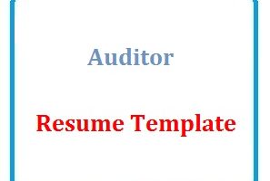 Auditor Resume Template