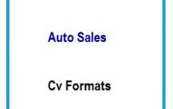 Auto Sales CV Formats