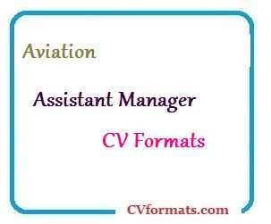 Aviation Assistant Manager CV Formats