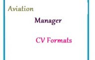 Aviation Manager CV Formats