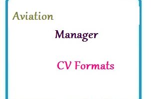 Aviation Manager CV Formats