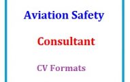Aviation Safety Consultant CV Formats