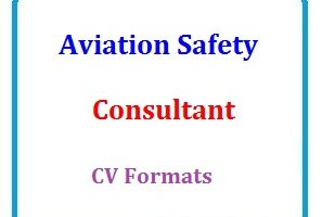 Aviation Safety Consultant CV Formats