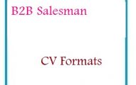 B2B Salesman CV Formats