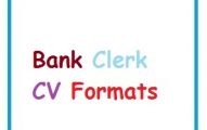 Bank Clerk CV Formats