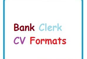 Bank Clerk CV Formats