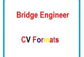 Bridge Engineer CV Formats
