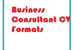 Business Consultant CV Formats