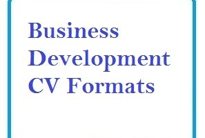 Business Development CV Formats