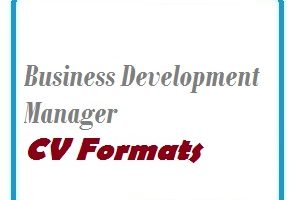Business Development Manager CV Formats