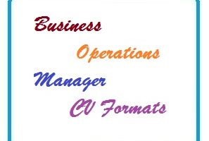 Business Operations Manager CV Formats