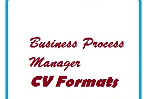 Business Process Manager CV Formats
