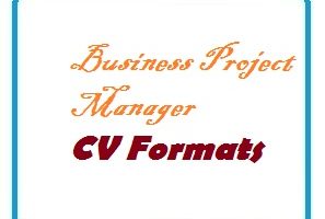 Business Project Manager CV Formats