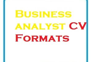Business analyst CV Formats