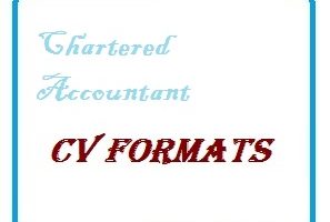 Chartered Accountant CV Formats