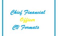 Chief Financial Officer CV Formats