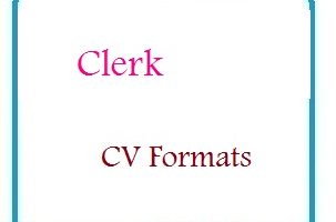 Clerk CV Formats