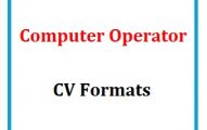 Computer Operator CV Formats