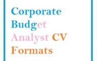 Corporate Budget Analyst CV Formats
