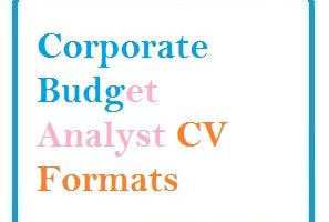 Corporate Budget Analyst CV Formats