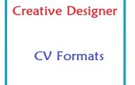Creative Designer CV Formats