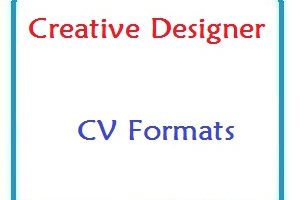 Creative Designer CV Formats
