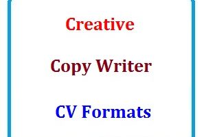 Creatives Copy Writer CV Formats