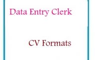 Data Entry Clerk CV Formats