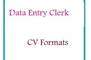 Data Entry Clerk CV Formats