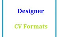 Designer CV Formats