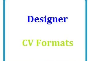 Designer CV Formats