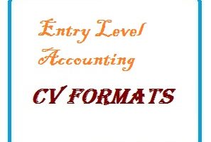 Entry Level Accounting CV Formats