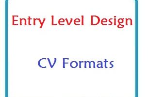 Entry Level Design CV Formats