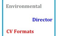 Environmental Director CV Formats