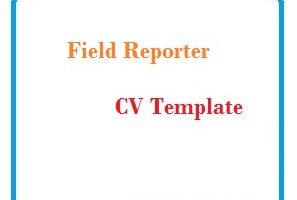 Field Reporter CV Template