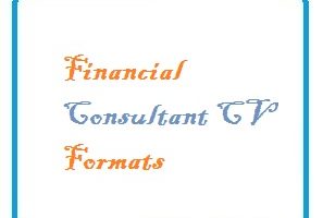 Financial Consultant CV Formats