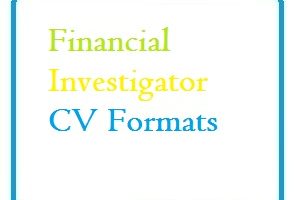 Financial Investigator CV Formats