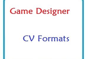 Game Designer CV Formats
