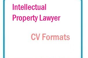 Intellectual Property Lawyer CV Formats