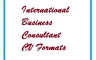 International Business Consultant CV Formats