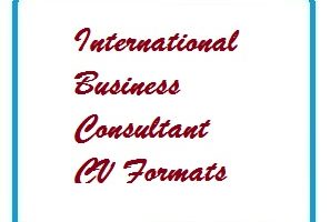 International Business Consultant CV Formats
