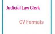 Judicial Law Clerk CV Formats